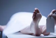 Telangana: Mother Killed, Son Injured in Road Accident