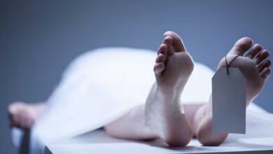 Telangana: Mother Killed, Son Injured in Road Accident