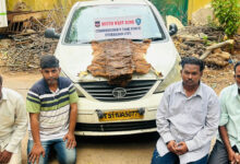 Hyderabad Police Bust Fake Tiger Skin Racket, Four Arrested