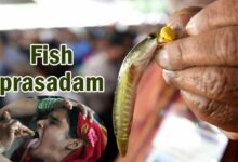 Hyderabad: Fish Prasadam Distribution to Begin on June 8 at Nampally