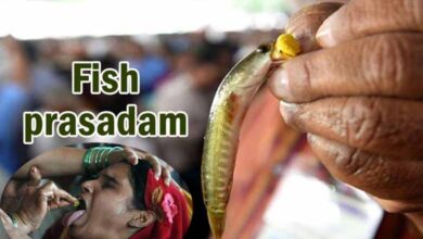 Hyderabad: Fish Prasadam Distribution to Begin on June 8 at Nampally