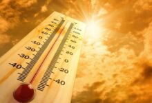 CM Orders Full Preparedness for Heatwave Emergency Across State