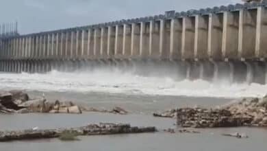 Telangana: Jurala Project Opens 10 Gates Amid Unseasonal Flooding in Krishna River
