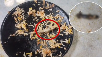 Lizard Found in Chicken Biryani at AR MEHFIL Family Restaurant in Ibrahimpatnam, Triggers Outrage