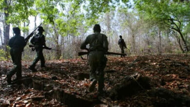 31 Maoists Killed in Biggest-Ever Operation Along Chhattisgarh-Telangana Border