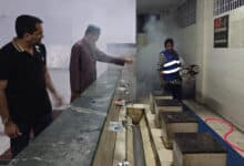 Hyderabad: Special Monsoon Fogging Pilot Programme Launched to Combat Mosquito Menace