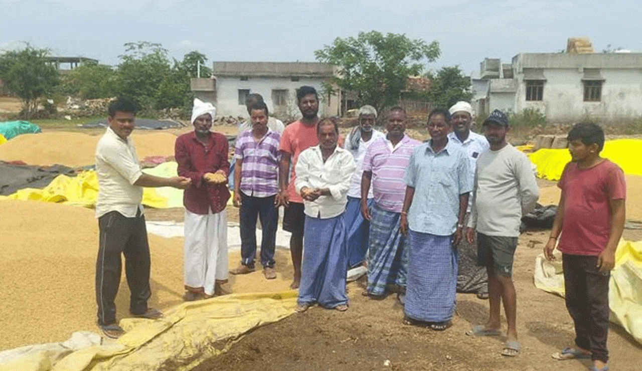 Early Monsoon Sparks Farming Rush, But Fertilizer and Seed Shortages Leave Farmers Struggling