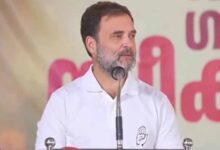 Rahul Gandhi's Pressure Led Centre to Agree on Caste Census
