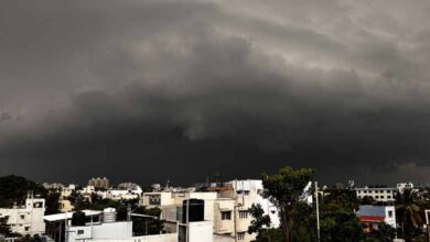 Heavy Rains in Telangana: IMD Issues Orange Alert for Multiple Districts