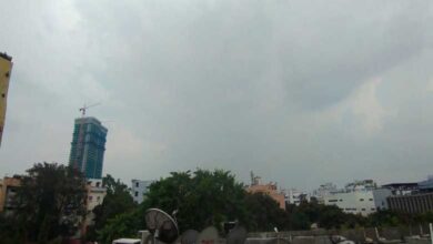 Telangana Weather Update: Rain and Thunderstorms Expected in Hyderabad and Other Districts