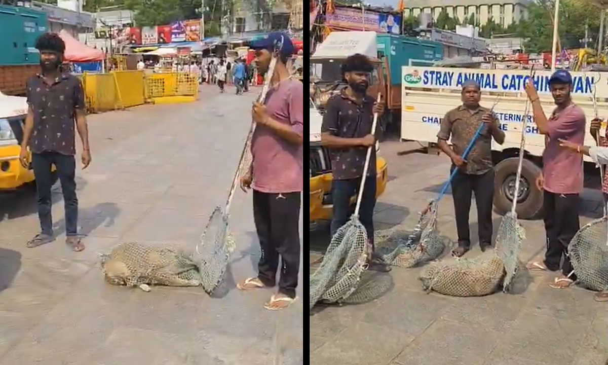 Hyderabad: Charminar Cleared of Stray Dogs Ahead of Beauty Queens’ Visit