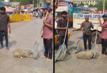 Hyderabad: Charminar Cleared of Stray Dogs Ahead of Beauty Queens’ Visit