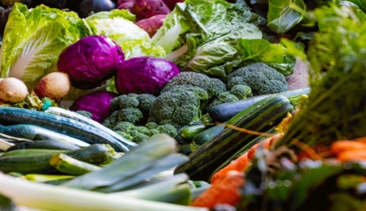 Eating a healthy diet in childhood can delay menstrual onset in girls: Study