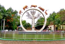 Hyderabad’s Nehru Zoo Launches Summer Camp for Kids with Wildlife Expert from UK