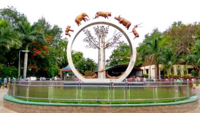 Hyderabad’s Nehru Zoo Launches Summer Camp for Kids with Wildlife Expert from UK