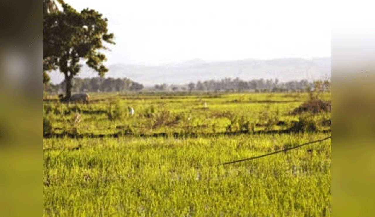 Tension in Telangana Village as Protest Against Ethanol Plant Turns Violent