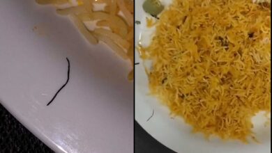 Customers Outraged as Iron Piece Found in Food at Hyderabad Restaurant