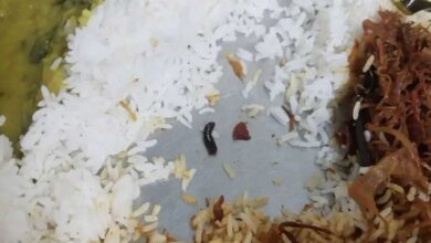 Hyderabad Horror: Insect in JNTU Girls Hostel Dinner Sparks Student Outrage