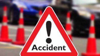 Lorry Falls Off Flyover in Telangana: Driver Killed, Cleaner Critically Injured
