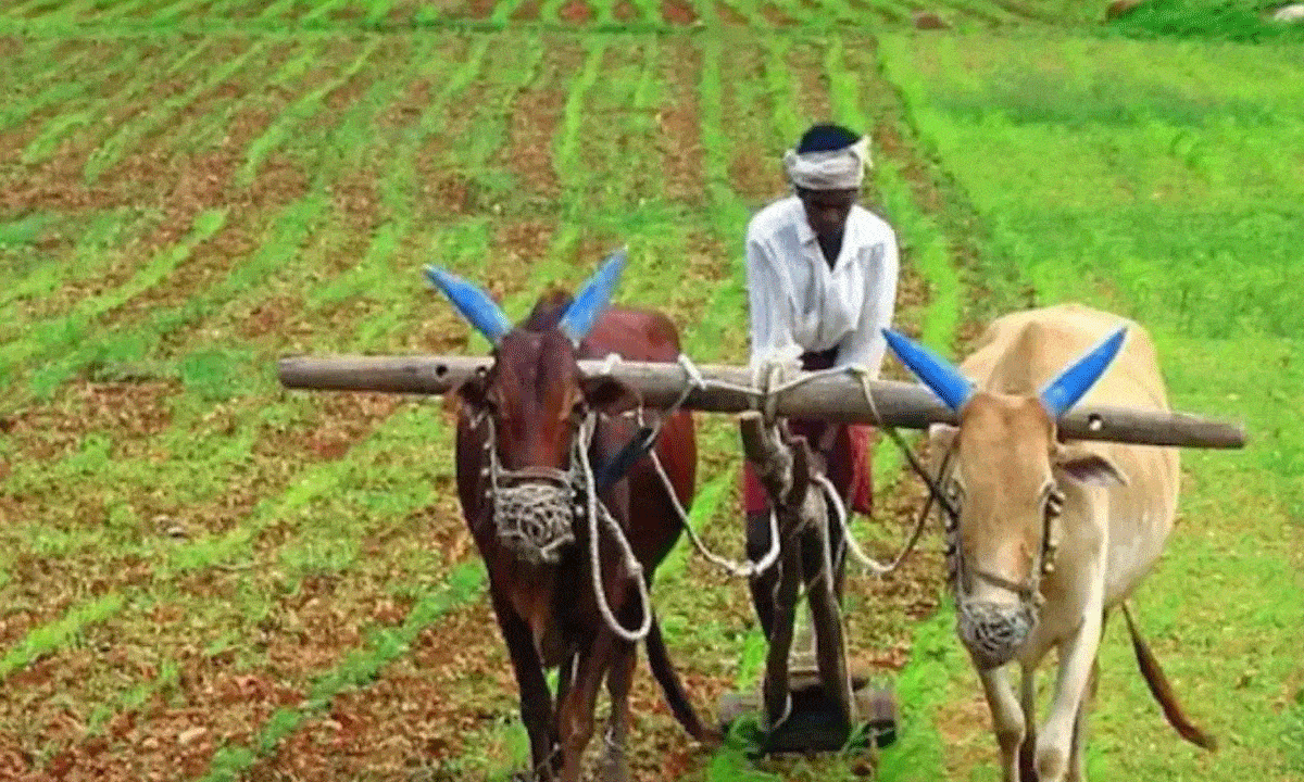 Andhra Pradesh Annadata Sukhibhava: Major Update – Know How Many Farmers Will Receive Direct Benefit Transfer!