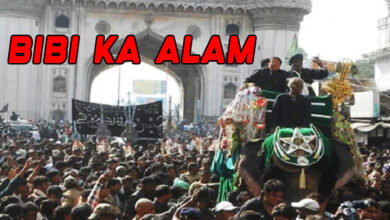 Telangana Forest Department Denies Elephant Entry for Bibi Ka Alam Procession