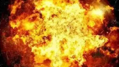 Telangana: Two Electric Bikes Catch Fire Near Temple