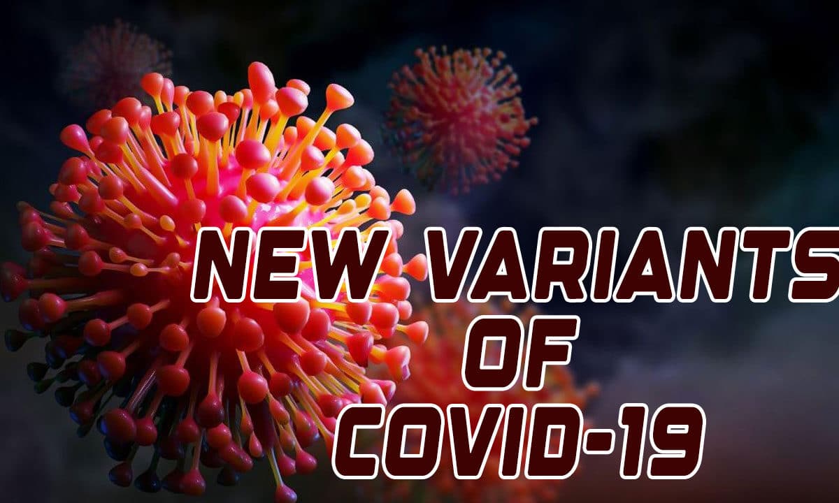 India Sees Drop in Active COVID-19 Cases; Total Now at 4,425