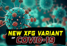 Telangana Sees Surge in Covid-19 and Seasonal Flu Cases; New XFG Variant Detected