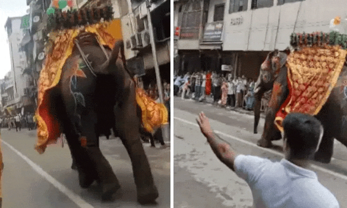 Rath Yatra Turns Chaotic in Gujarat After Elephant Loses Control Amid Devotee Rushes