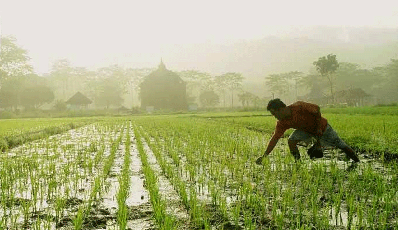Rythu Bharosa Boost: Thousands of Farmers to Get Investment Support This Monsoon
