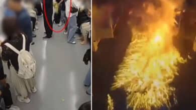 Metro Horror: Man Pours Petrol, Ignites Fire in Packed Train Over Marital Dispute: Video