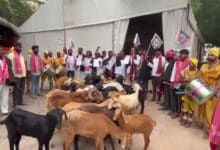 Hyderabad: Tensions at Gandhi Bhavan, Yadava Committee Protests with Goats, Seeks Cabinet Posts