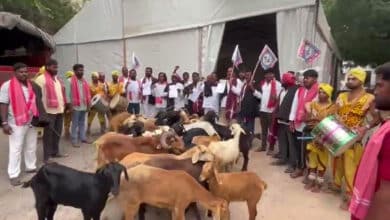 Hyderabad: Tensions at Gandhi Bhavan, Yadava Committee Protests with Goats, Seeks Cabinet Posts