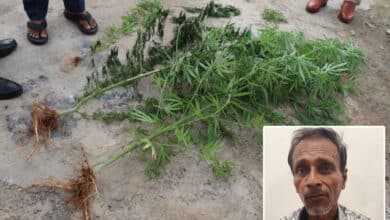 Man Growing Ganja Alongside Flower Plants Arrested in Shamshabad