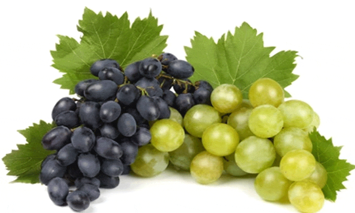 Black or Green Grapes: Which is Healthier? Nutritionists Reveal the Benefits