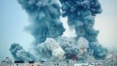 World War 3 Fears Rise: These 11 Countries Could Be Humanity’s Last Safe Havens