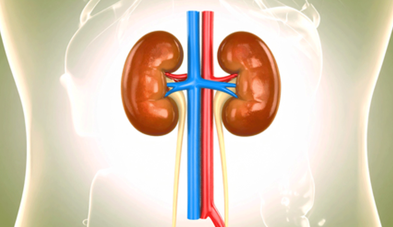 Prior Covid vaccination proved beneficial for acute kidney injury patients: Study