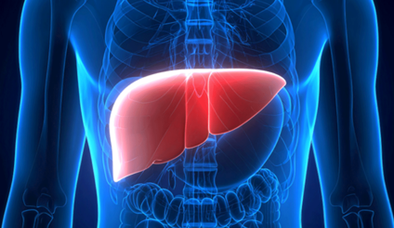 Study shows alcohol-linked liver deaths rising in women, young adults