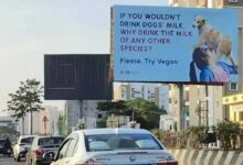 "Woman Shown Drinking Dog’s Milk in Shocking PETA Billboard (Video)"