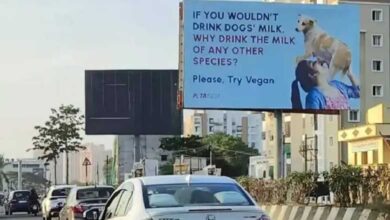 "Woman Shown Drinking Dog’s Milk in Shocking PETA Billboard (Video)"