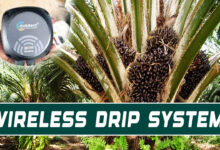 Telangana Farmer Controls Oil Palm Farm Remotely as India’s First Wireless Drip System Goes Live