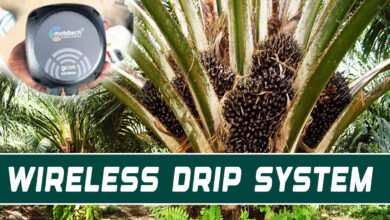 Telangana Farmer Controls Oil Palm Farm Remotely as India’s First Wireless Drip System Goes Live