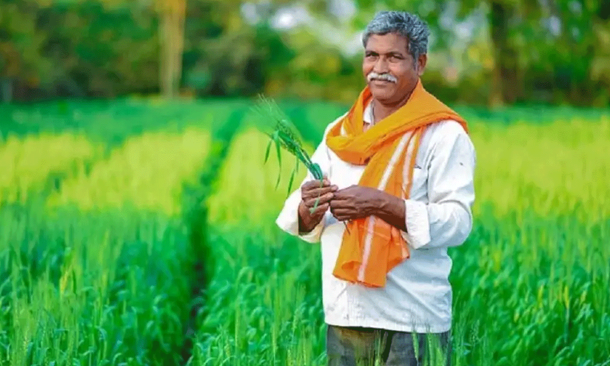 PM Kisan 20th Installment: Step-by-Step Guide to Complete Aadhaar-Based OTP e-KYC Online