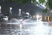 Hyderabad Weather: Heavy Rains Flood Streets, Yellow Alert Issued Across Telangana