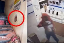 CCTV Captures Shocking Theft at Big C: Thief Steals ₹5 Lakh Worth of Mobiles from Dilsukhnagar Showroom