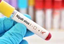 Nipah Virus Scare Returns in Kerala: Two Dead, over 380 Under Surveillance