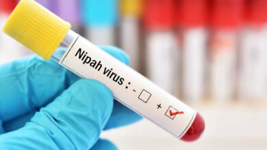 Nipah Virus Scare Returns in Kerala: Two Dead, over 380 Under Surveillance