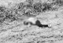 Telangana: Dalit Youth Brutally Killed in Alleged Honour Killing in Jagtial District