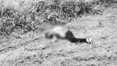 Telangana: Dalit Youth Brutally Killed in Alleged Honour Killing in Jagtial District