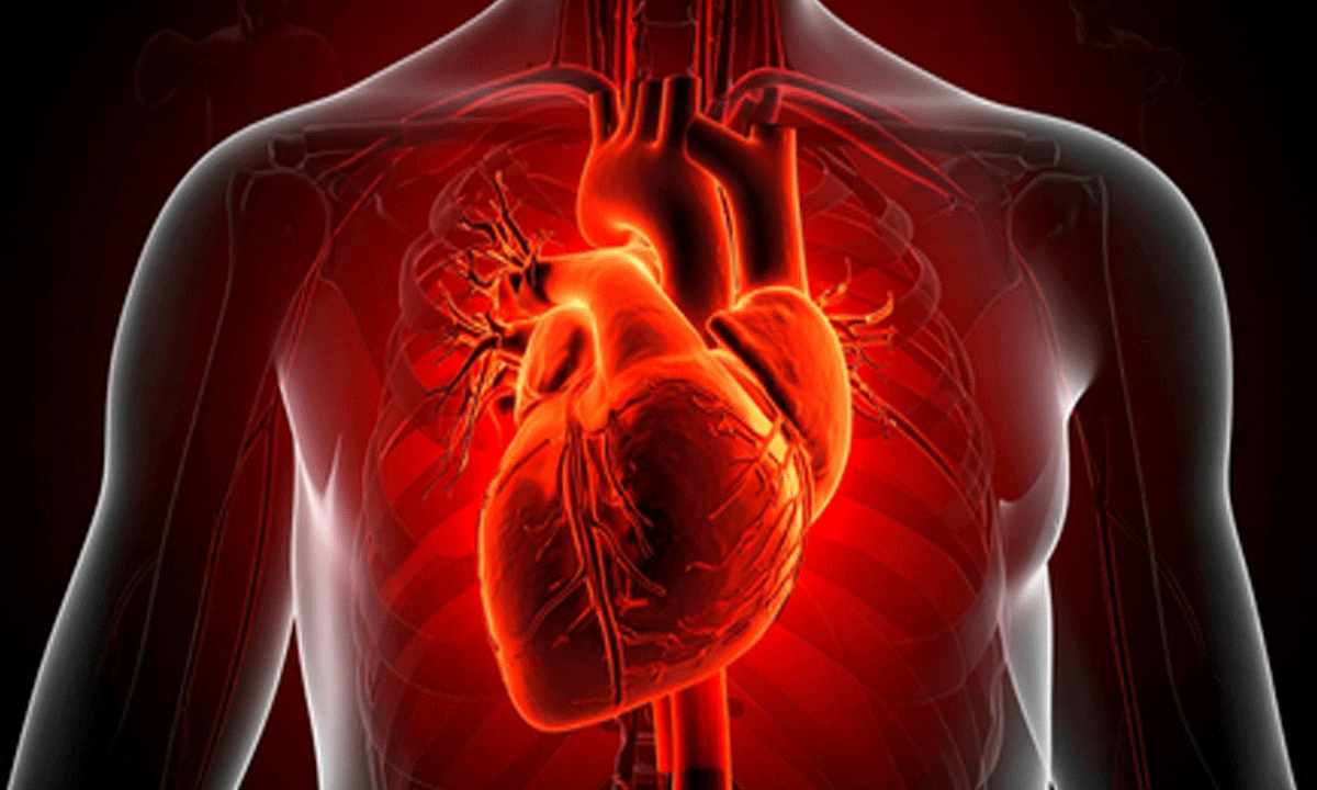 Study links common diabetes drug with cardiovascular risk